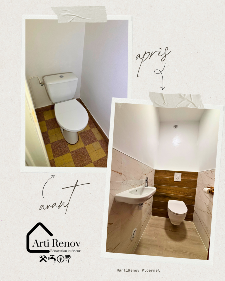 renovation wc loyat